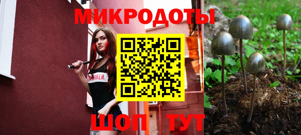 Псилоцибиновые грибы Psilocybine cubensis  Вход с VPN  Волоколамск 